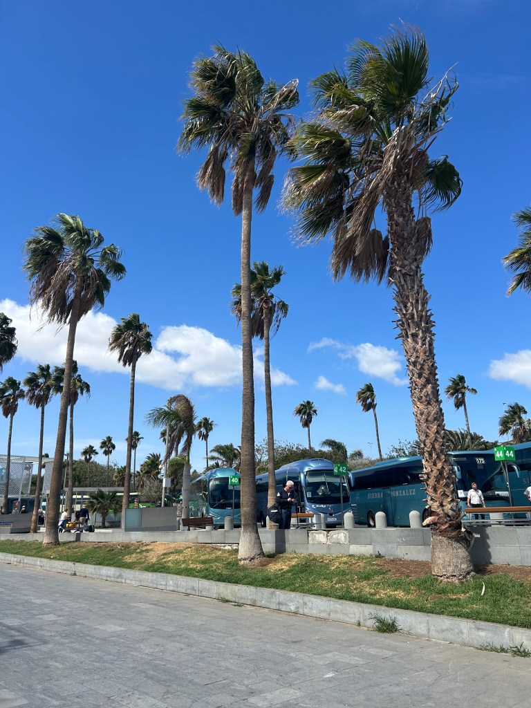 Outside of Tenerife South Airport waiting for our coach bus.