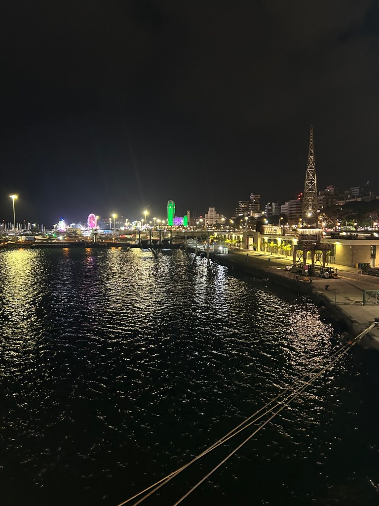 City lights of Tenerife right before P&O Azura began to sail away