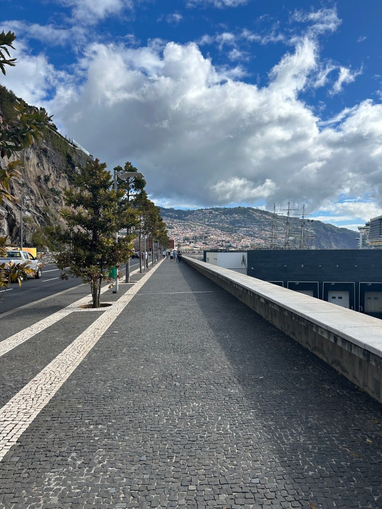 The walk from the cruise ship terminal to old town Funchal