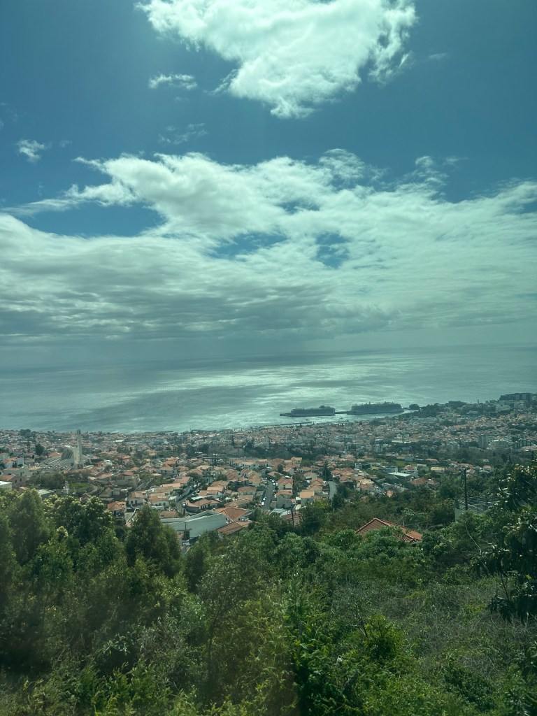 The view as we climbed in the coach bus on our way to Monte Palace Tropical Gardens