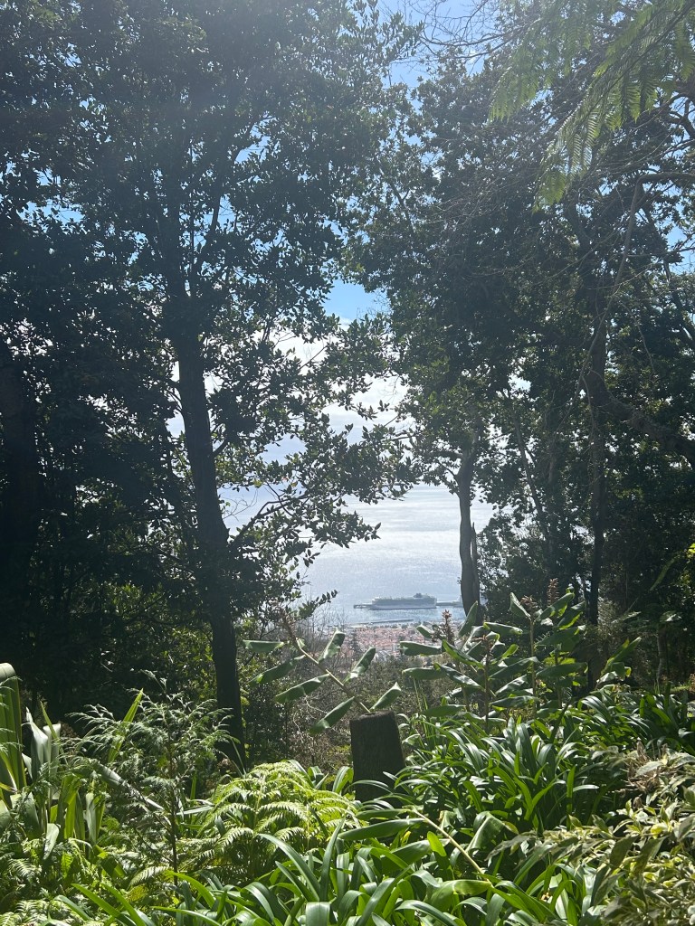 The view of P&O Azura from Monte Palace Tropical Gardens