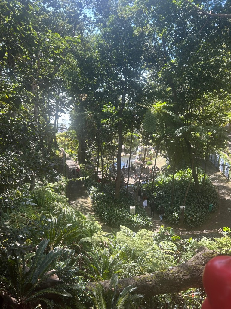 Greenery in Monte Palace Tropical Gardens