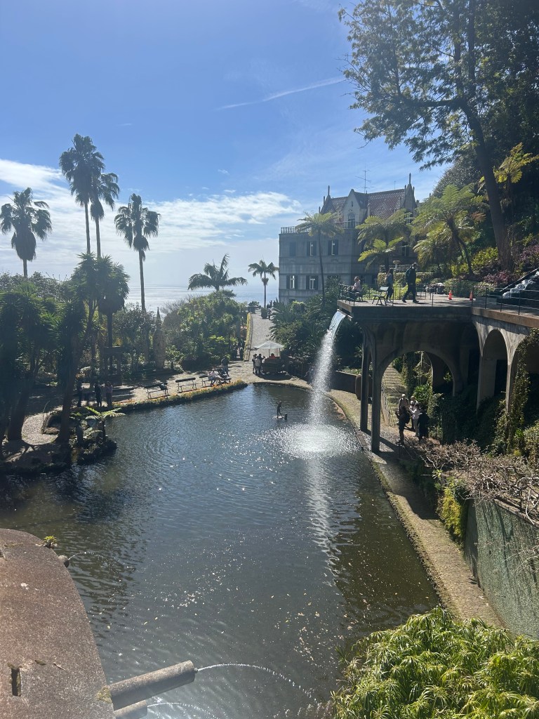 Some gorgeous scenery in Monte Palace Tropical Gardens