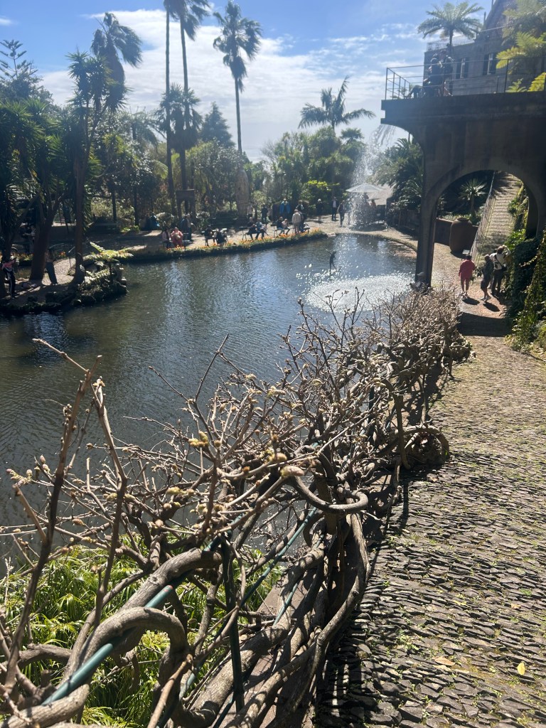 Unique pathway in Monte Palace Tropical Gardens