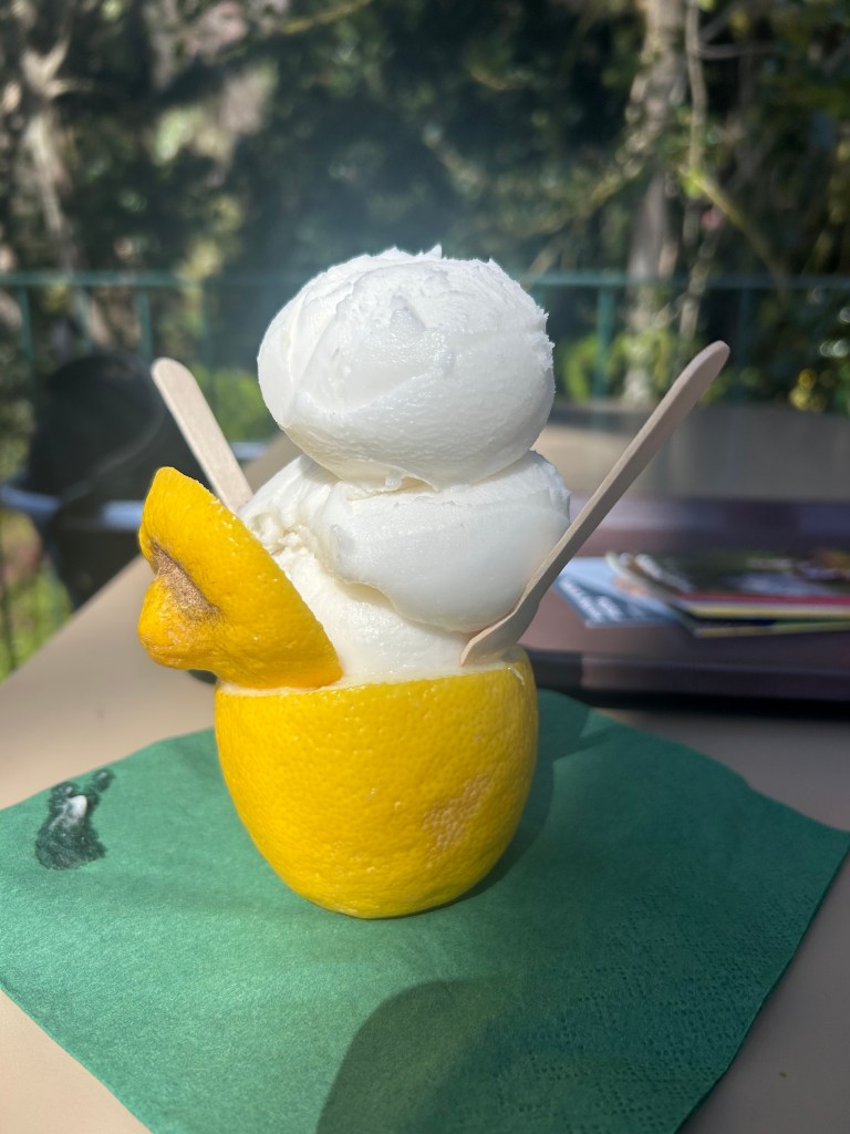 Delicious lemon sorbet from the café in the tropical gardens