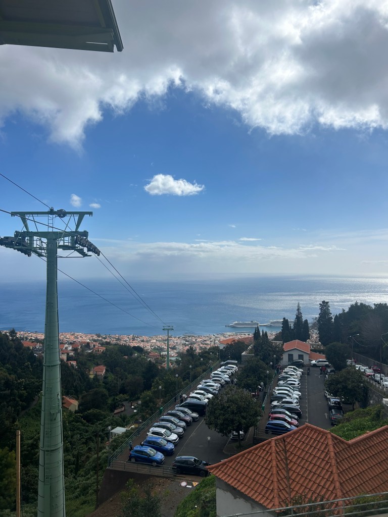 The view from Monte Palace Tropical Gardens/cable cars